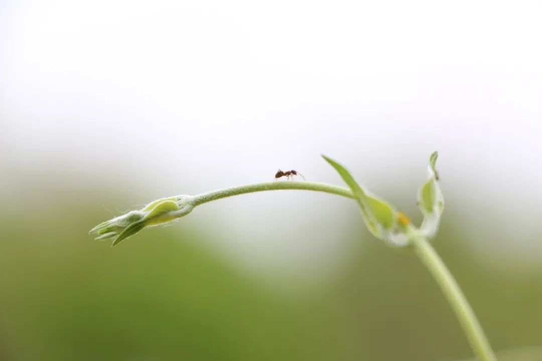 早睡、运动、读书，是性价比最高的自律