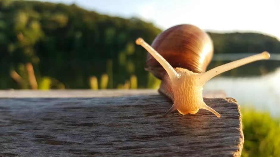有一种人生境界，叫活得有趣